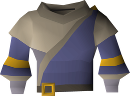 Ancestral robe top