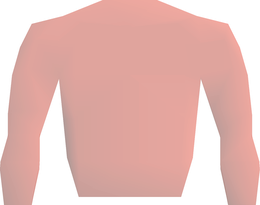 Ankou top