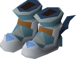 Echo boots