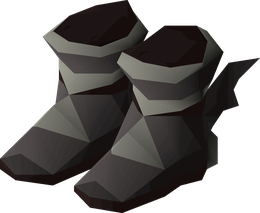 Guardian boots