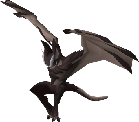 Xarpus